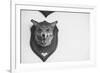 Stuffed Fox Head-Clive Nolan-Framed Photographic Print