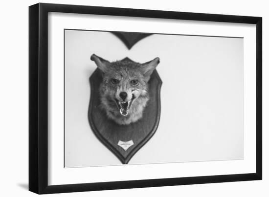 Stuffed Fox Head-Clive Nolan-Framed Photographic Print