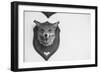 Stuffed Fox Head-Clive Nolan-Framed Photographic Print