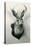 Stuffed Jackalope-null-Stretched Canvas