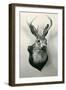 Stuffed Jackalope-null-Framed Art Print