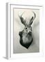 Stuffed Jackalope-null-Framed Art Print