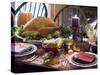 Stuffed Turkey on Thanksgiving Table (USA)-null-Stretched Canvas
