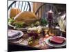 Stuffed Turkey on Thanksgiving Table (USA)-null-Mounted Photographic Print