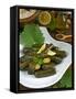 Stuffed Vine Leaves, Dolmades, Arabic Countries, Arabic Cooking, Greek Food, Turkish Food-Nico Tondini-Framed Stretched Canvas