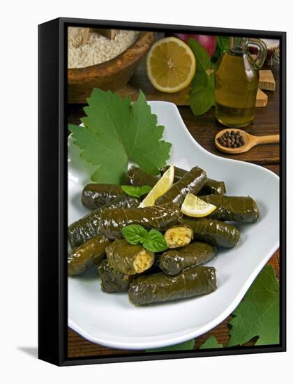 Stuffed Vine Leaves, Dolmades, Arabic Countries, Arabic Cooking, Greek Food, Turkish Food-Nico Tondini-Framed Stretched Canvas