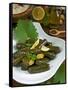 Stuffed Vine Leaves, Dolmades, Arabic Countries, Arabic Cooking, Greek Food, Turkish Food-Nico Tondini-Framed Stretched Canvas