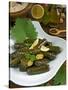 Stuffed Vine Leaves, Dolmades, Arabic Countries, Arabic Cooking, Greek Food, Turkish Food-Nico Tondini-Stretched Canvas