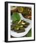 Stuffed Vine Leaves, Dolmades, Arabic Countries, Arabic Cooking, Greek Food, Turkish Food-Nico Tondini-Framed Photographic Print