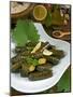 Stuffed Vine Leaves, Dolmades, Arabic Countries, Arabic Cooking, Greek Food, Turkish Food-Nico Tondini-Mounted Photographic Print