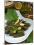 Stuffed Vine Leaves, Dolmades, Arabic Countries, Arabic Cooking, Greek Food, Turkish Food-Nico Tondini-Mounted Photographic Print