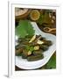 Stuffed Vine Leaves, Dolmades, Arabic Countries, Arabic Cooking, Greek Food, Turkish Food-Nico Tondini-Framed Photographic Print