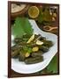 Stuffed Vine Leaves, Dolmades, Arabic Countries, Arabic Cooking, Greek Food, Turkish Food-Nico Tondini-Framed Photographic Print