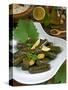 Stuffed Vine Leaves, Dolmades, Arabic Countries, Arabic Cooking, Greek Food, Turkish Food-Nico Tondini-Stretched Canvas