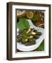 Stuffed Vine Leaves, Dolmades, Arabic Countries, Arabic Cooking, Greek Food, Turkish Food-Nico Tondini-Framed Premium Photographic Print