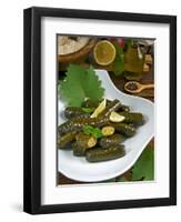 Stuffed Vine Leaves, Dolmades, Arabic Countries, Arabic Cooking, Greek Food, Turkish Food-Nico Tondini-Framed Premium Photographic Print