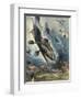 Stukas Bomb Norway-Aldo Raimondi-Framed Art Print