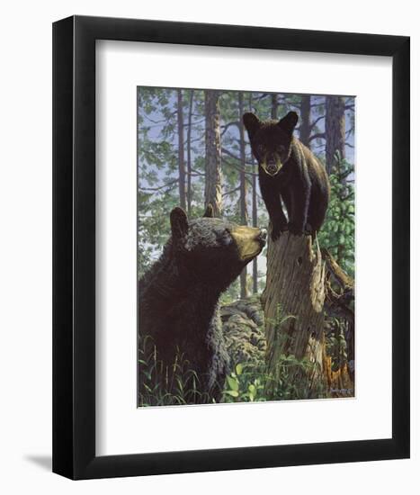 Stump Jumper-Bruce Miller-Framed Giclee Print