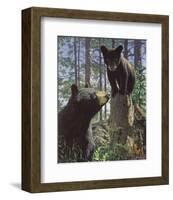 Stump Jumper-Bruce Miller-Framed Art Print