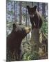 Stump Jumper-Bruce Miller-Mounted Art Print