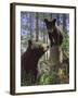 Stump Jumper-Bruce Miller-Framed Giclee Print