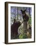 Stump Jumper-Bruce Miller-Framed Giclee Print