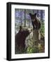 Stump Jumper-Bruce Miller-Framed Giclee Print