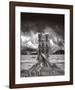 Stumped-Thomas Barbey-Framed Art Print