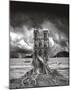 Stumped-Thomas Barbey-Mounted Art Print