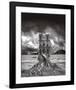 Stumped-Thomas Barbey-Framed Art Print