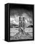 Stumped-Thomas Barbey-Framed Stretched Canvas