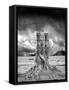 Stumped-Thomas Barbey-Framed Stretched Canvas