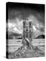 Stumped-Thomas Barbey-Stretched Canvas