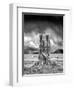 Stumped-Thomas Barbey-Framed Giclee Print