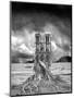 Stumped-Thomas Barbey-Mounted Giclee Print