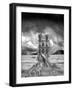 Stumped-Thomas Barbey-Framed Giclee Print