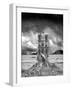 Stumped-Thomas Barbey-Framed Giclee Print