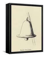 Stunnia Dinnerbellia-Edward Lear-Framed Stretched Canvas