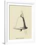 Stunnia Dinnerbellia-Edward Lear-Framed Giclee Print