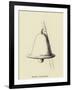 Stunnia Dinnerbellia-Edward Lear-Framed Giclee Print