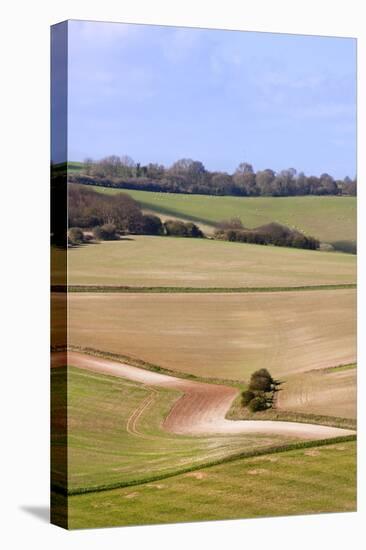 Stunning Countryside Landscape with Vibrant Colors and Vivid Sky-Veneratio-Stretched Canvas