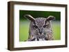 Stunning European Eagle Owl in Flight-Veneratio-Framed Photographic Print