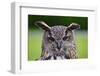 Stunning European Eagle Owl in Flight-Veneratio-Framed Photographic Print