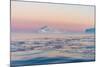 Stunning Iceberg Landscape with Midnight Sun Colors at Mouth ofIcefjord, Near Ilulissat, Greenland-Luis Leamus-Mounted Photographic Print