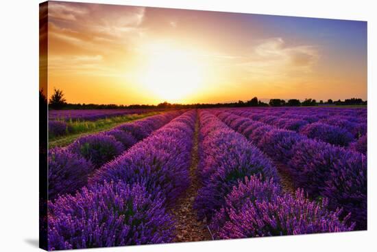 Stunning Landscape with Lavender Field at Sunset. Plateau of Valensole, Provence, France-Oleg Znamenskiy-Stretched Canvas