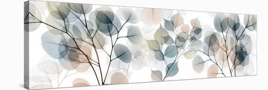 Stunning Recognition 1-Albert Koetsier-Stretched Canvas