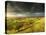 Stunning Summer Sunset across Countryside Landscape with Dramatic Clouds-Veneratio-Stretched Canvas