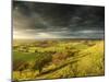 Stunning Summer Sunset across Countryside Landscape with Dramatic Clouds-Veneratio-Mounted Photographic Print