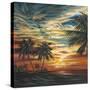 Stunning Tropical Sunset I-null-Stretched Canvas