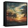 Stunning Tropical Sunset I-null-Framed Stretched Canvas